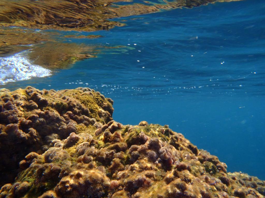 Le Casette Sul Mare Capo Vaticano Εξωτερικό φωτογραφία